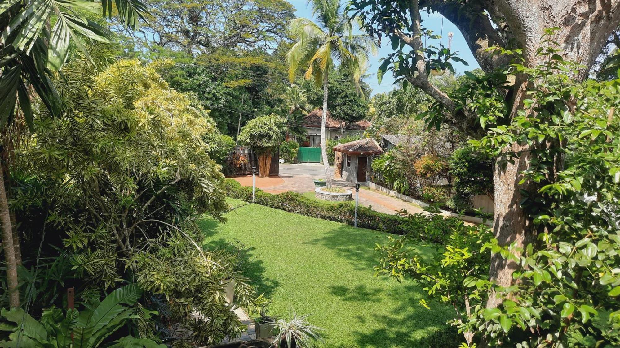 Rockery Villa Ayurveda Bentota Exterior photo