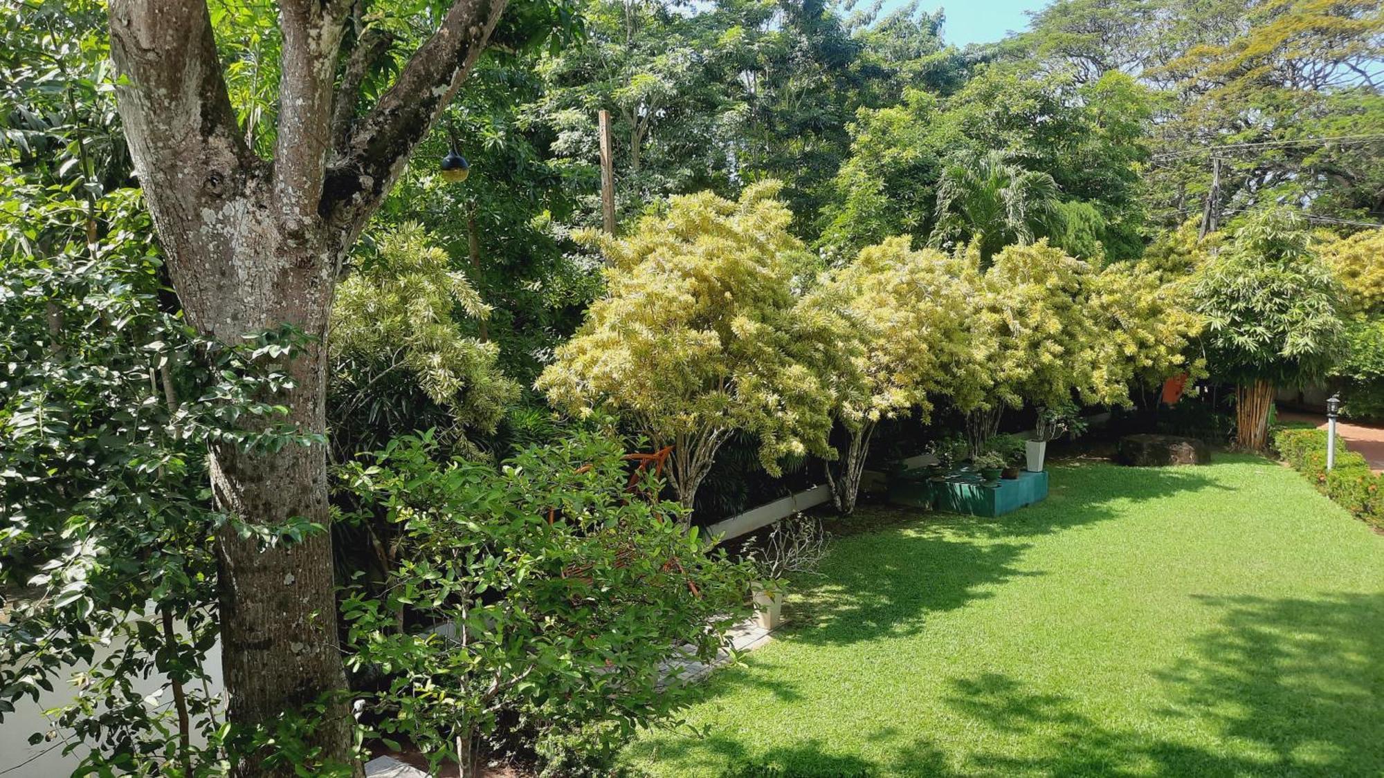 Rockery Villa Ayurveda Bentota Exterior photo