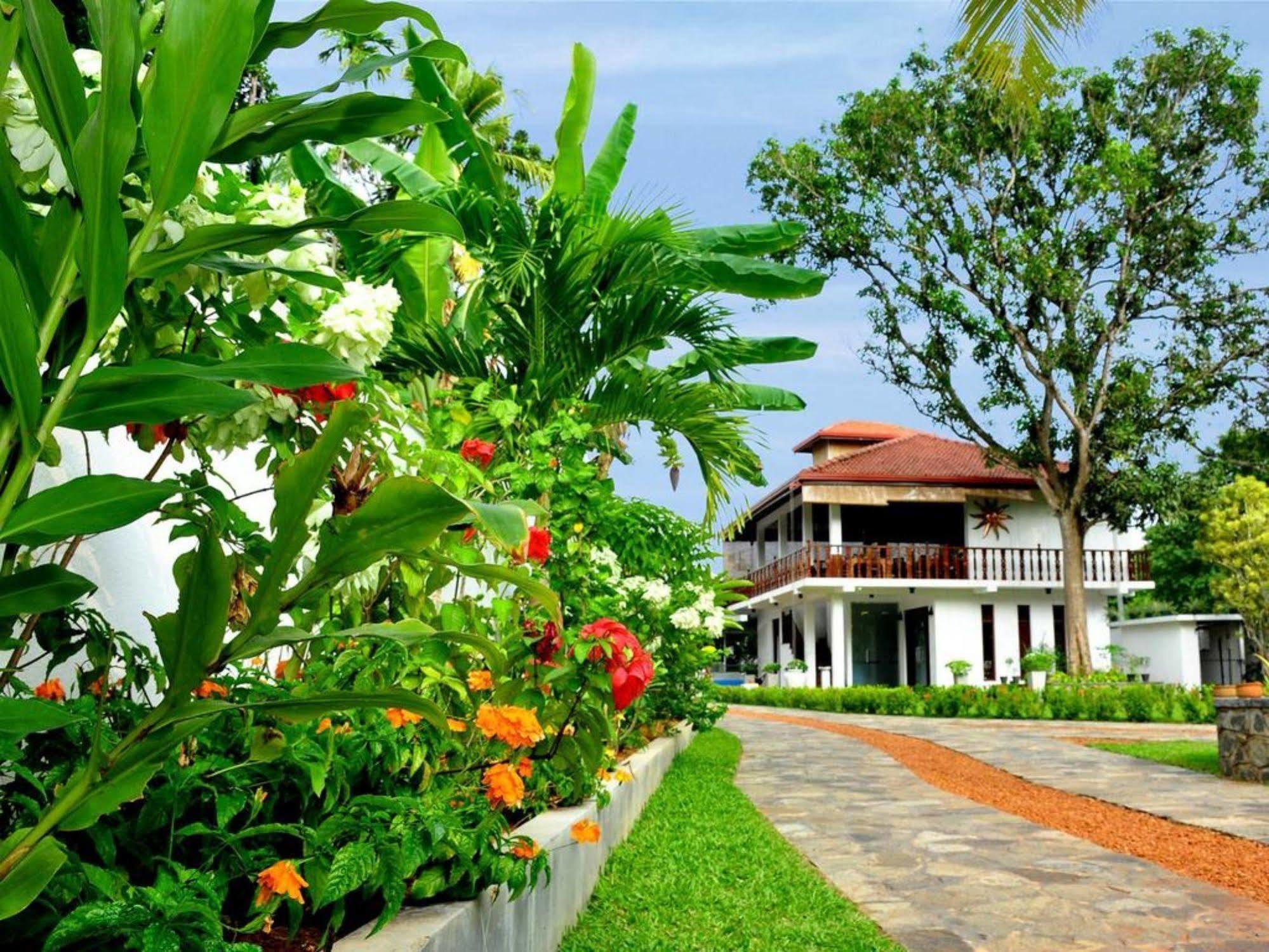 Rockery Villa Ayurveda Bentota Exterior photo